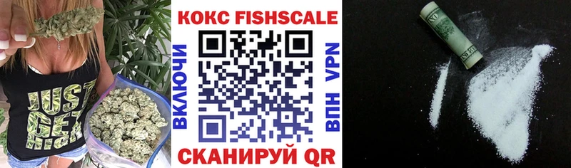 блэк спрут как зайти  купить наркотик  Ряжск  Кокаин FishScale 